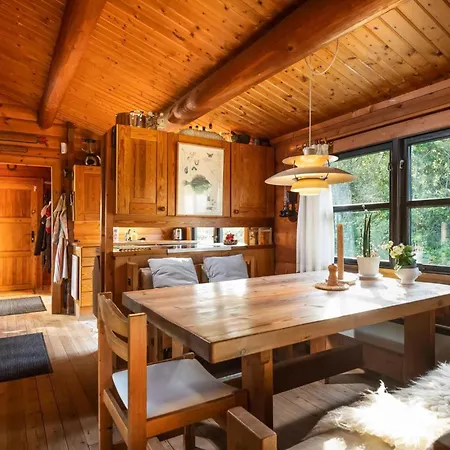 Authentic Scandinavian Log With Private Sauna Near Skagen