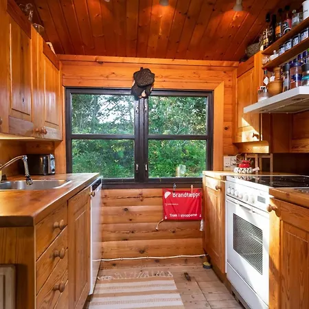 Authentic Scandinavian Log With Private Sauna Near Feriehus Skagen